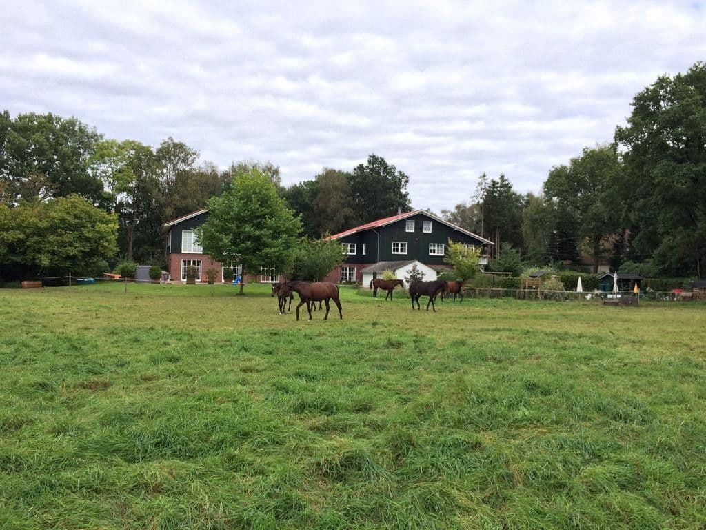 Pronájem bytu 4+1 140 m², Liether Moor 9, Klein Nordende, Šlesvicko-Holštýnsko Pronájem bytu 4+1 140 m², Liether Moor 9, Klein Nordende, Šlesvicko-Holštýnsko