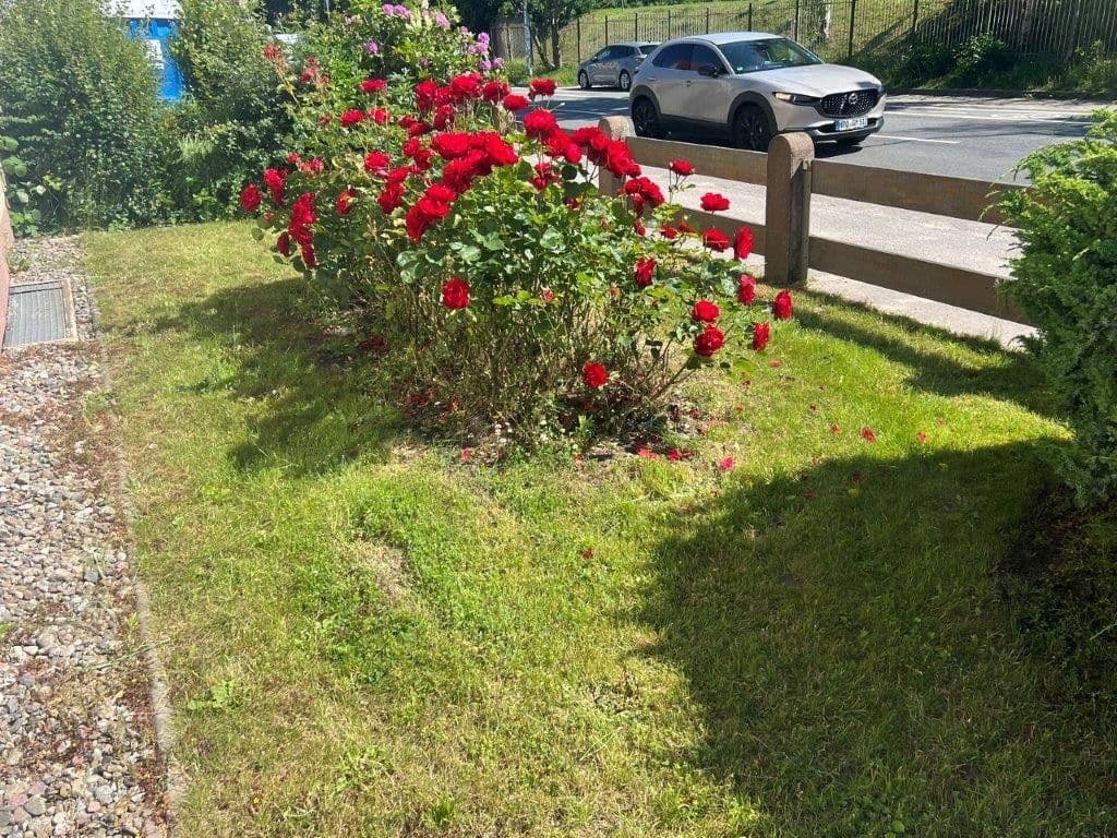 Prodej domu 135 m², pozemek 887 m², Rostock, Mecklenburg-Vorpommern Prodej domu 135 m², pozemek 887 m², Rostock, Mecklenburg-Vorpommern