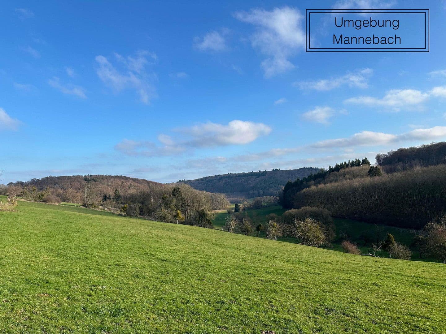 Prodej domu 384 m², pozemek 970 m², Mannebach, Porýní-Falc Prodej domu 384 m², pozemek 970 m², Mannebach, Porýní-Falc