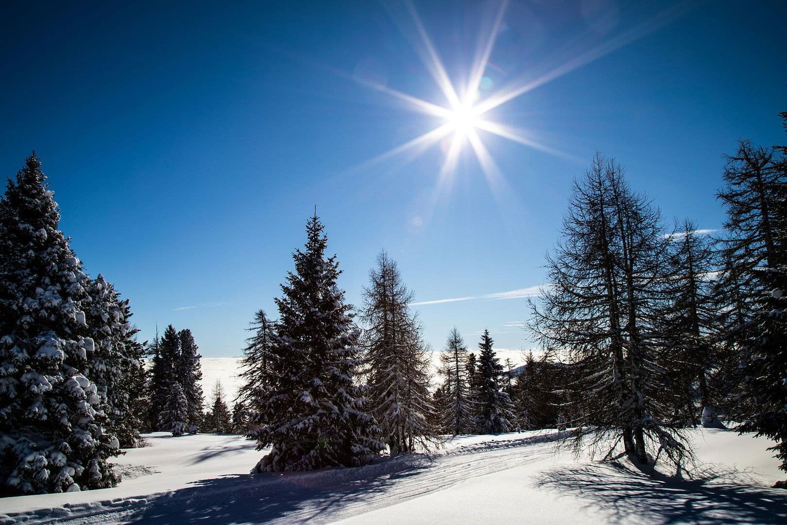 Prodej domu 160 m², pozemek 813 m², Teichweg 3, Hochrindl, Korutany Prodej domu 160 m², pozemek 813 m², Teichweg 3, Hochrindl, Korutany