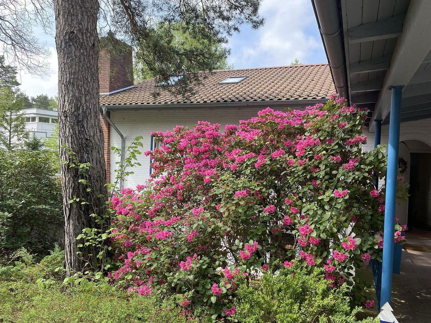 Prodej domu 377 m², pozemek 4.842 m², Deutsch Evern, Dolní Sasko Prodej domu 377 m², pozemek 4.842 m², Deutsch Evern, Dolní Sasko