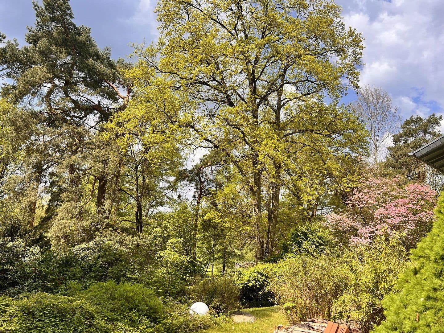 Prodej domu 377 m², pozemek 4.842 m², Deutsch Evern, Dolní Sasko Prodej domu 377 m², pozemek 4.842 m², Deutsch Evern, Dolní Sasko