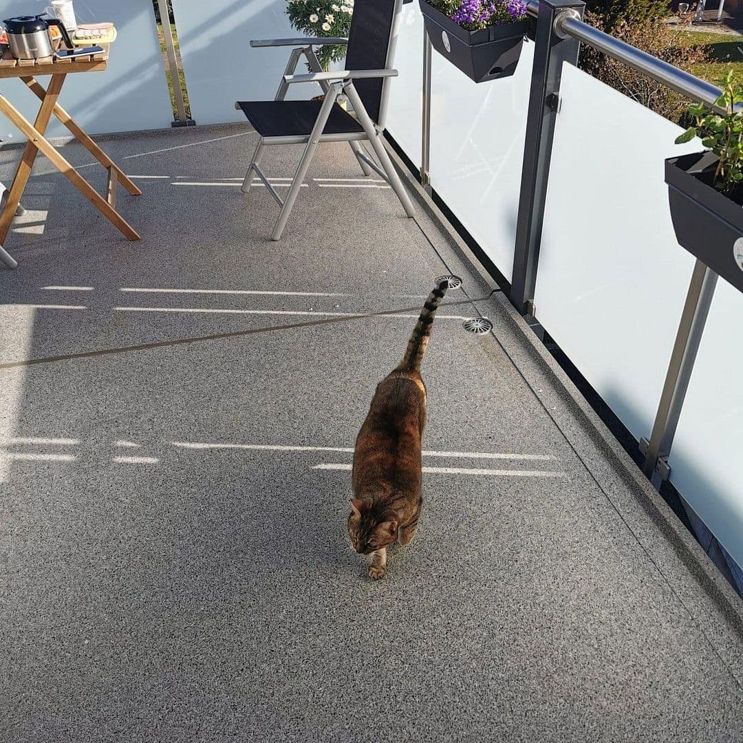 Pronájem bytu 5+1 125 m², Bredenscheider Str. 13, Hattingen, Severní Porýní-Vestfálsko Pronájem bytu 5+1 125 m², Bredenscheider Str. 13, Hattingen, Severní Porýní-Vestfálsko