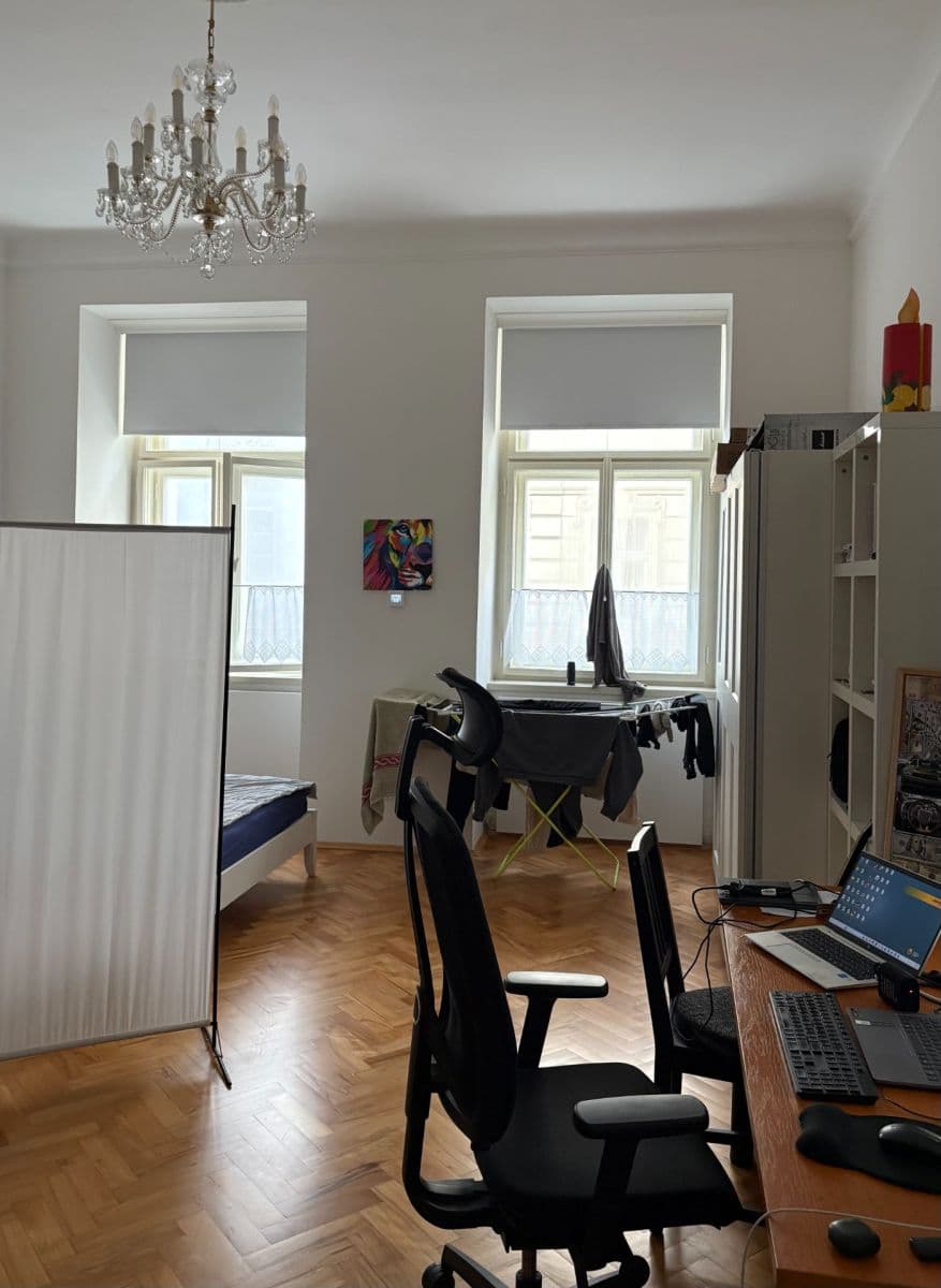 Pronájem bytu 1+1 55 m², Krakovská, Praha, Praha Pronájem bytu 1+1 55 m², Krakovská, Praha, Praha