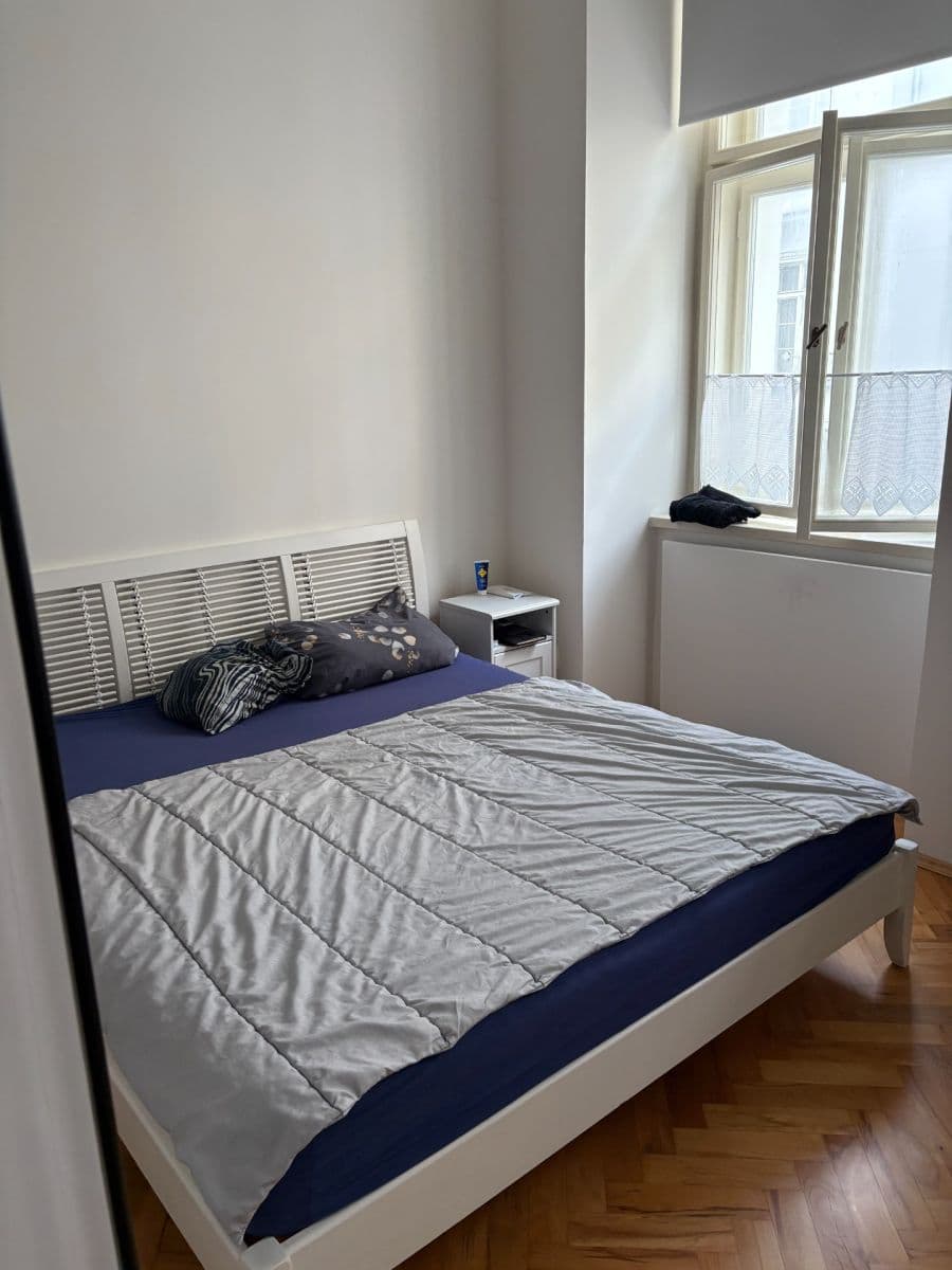 Pronájem bytu 1+1 55 m², Krakovská, Praha, Praha Pronájem bytu 1+1 55 m², Krakovská, Praha, Praha