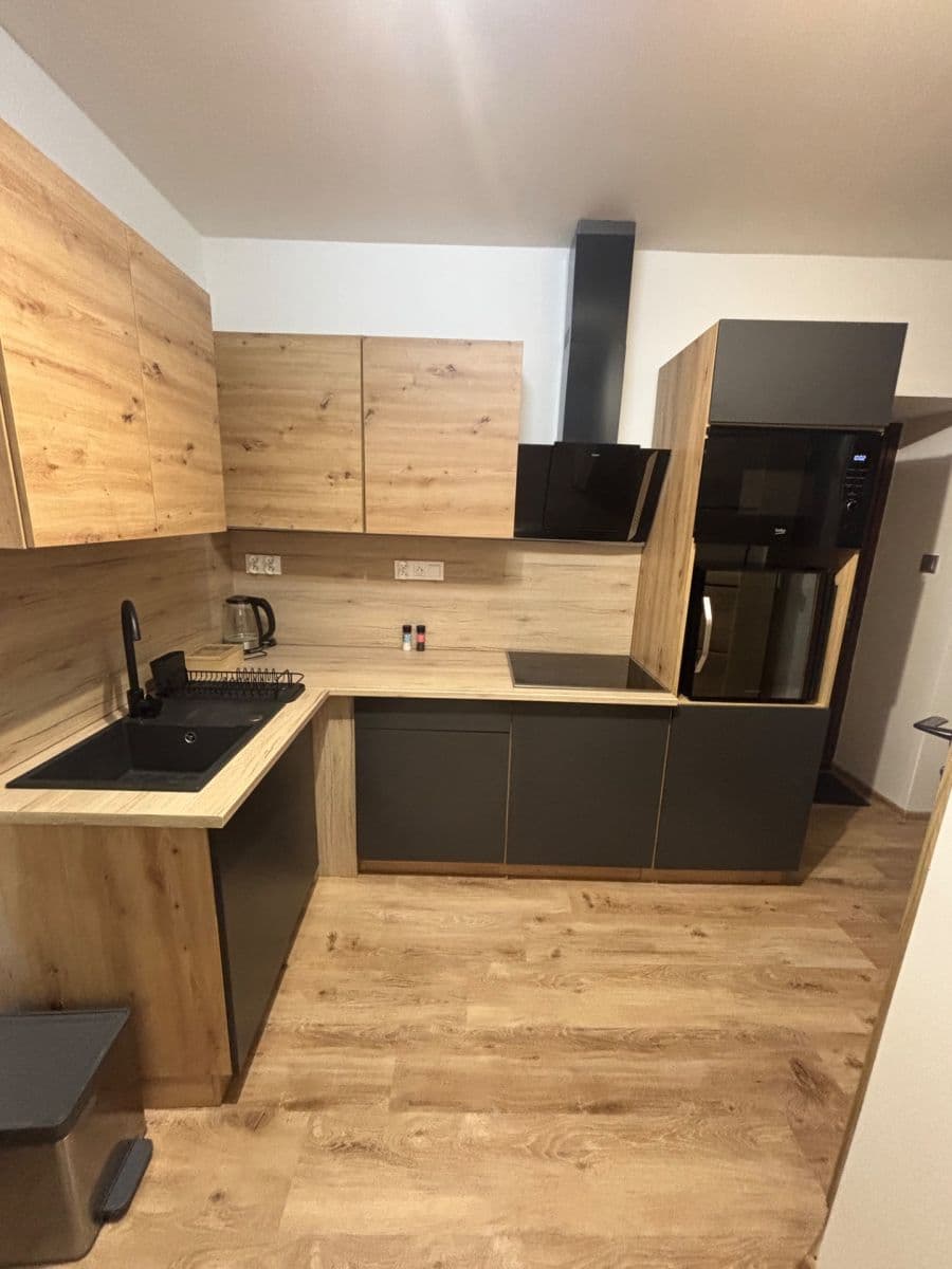 Pronájem bytu 1+kk 45 m², Orlí, Liberec, Liberecký kraj Pronájem bytu 1+kk 45 m², Orlí, Liberec, Liberecký kraj