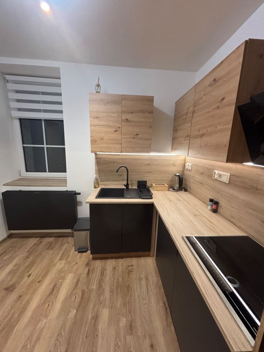Pronájem bytu 1+kk 45 m², Orlí, Liberec, Liberecký kraj Pronájem bytu 1+kk 45 m², Orlí, Liberec, Liberecký kraj