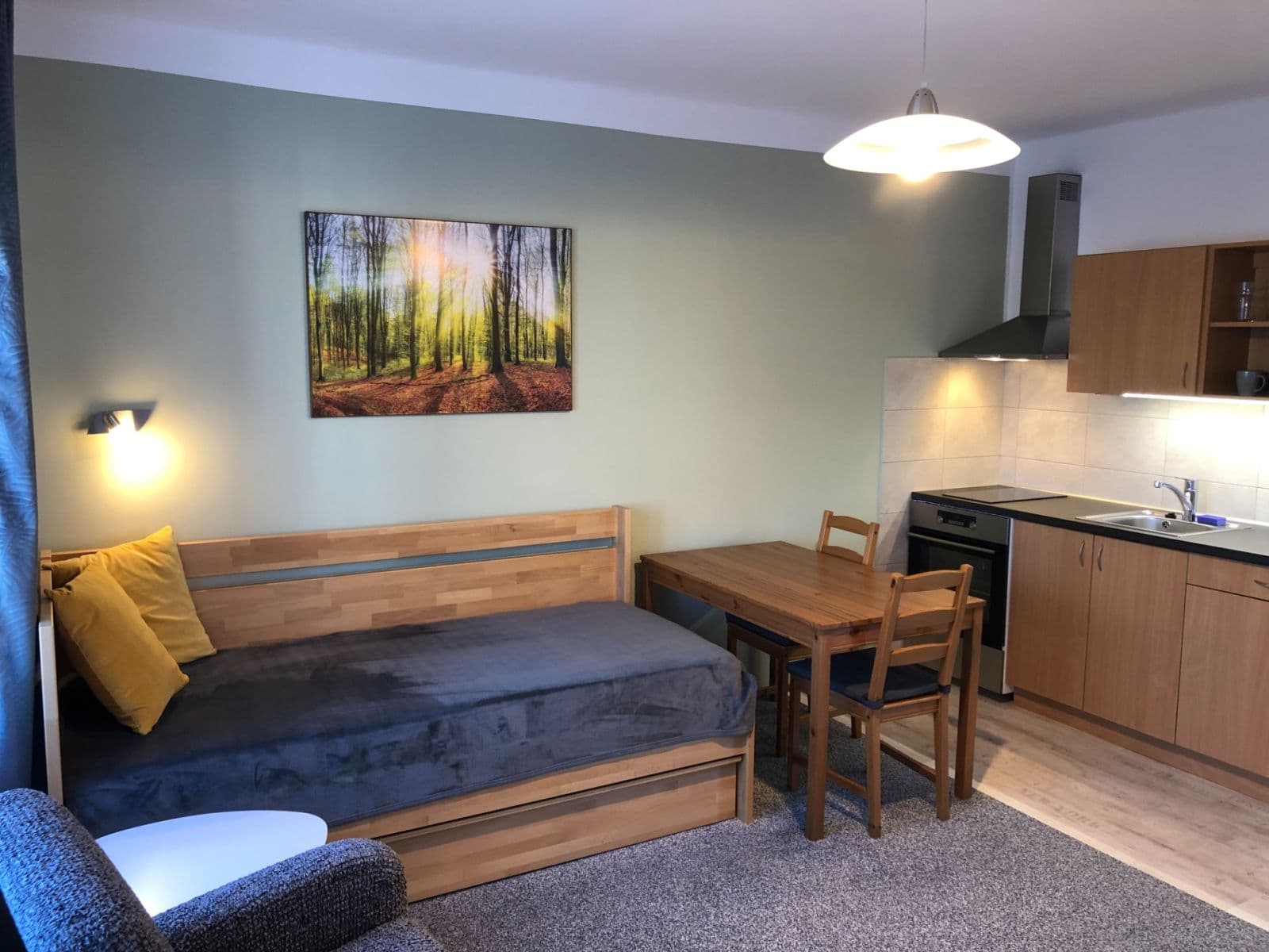 Pronájem bytu 1+kk 30 m², Eliášova, Brno, Jihomoravský kraj Pronájem bytu 1+kk 30 m², Eliášova, Brno, Jihomoravský kraj