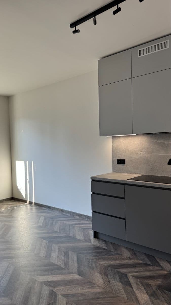 Pronájem bytu 1+kk 36 m², Stejnosměrná, Praha, Praha Pronájem bytu 1+kk 36 m², Stejnosměrná, Praha, Praha