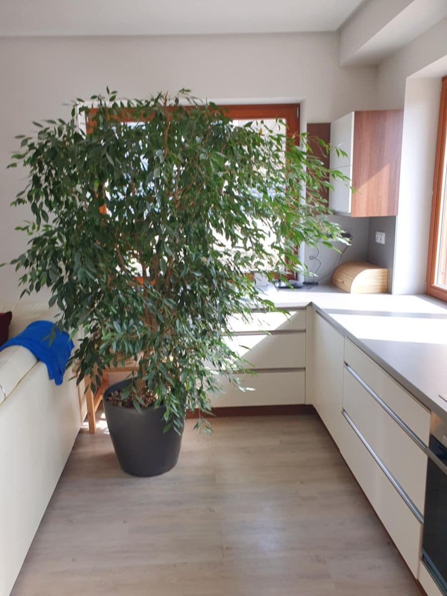 Pronájem bytu 2+kk 66 m², Nad Rybníkem, Únětice, Středočeský kraj Pronájem bytu 2+kk 66 m², Nad Rybníkem, Únětice, Středočeský kraj