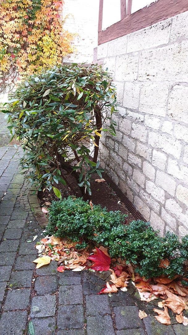 Prodej domu 672 m², pozemek 502 m², Triftstr. 22, Leinefelde-Worbis, Durynsko Prodej domu 672 m², pozemek 502 m², Triftstr. 22, Leinefelde-Worbis, Durynsko