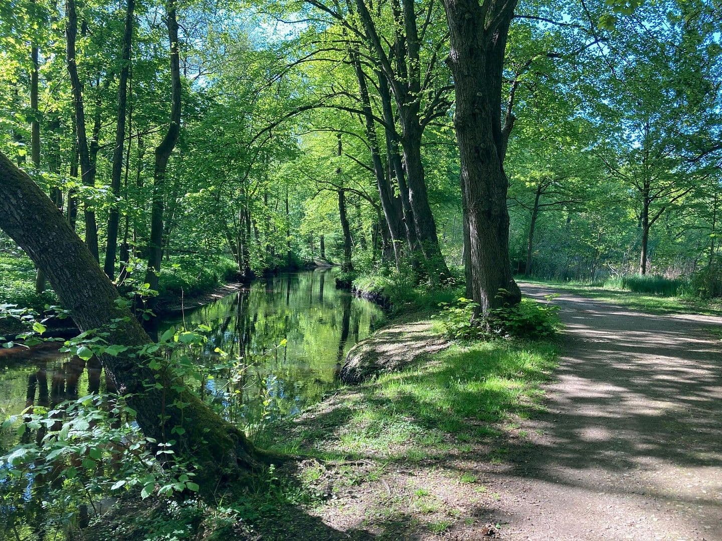 Prodej domu 201 m², pozemek 656 m², Bad Bramstedt, Šlesvicko-Holštýnsko Prodej domu 201 m², pozemek 656 m², Bad Bramstedt, Šlesvicko-Holštýnsko