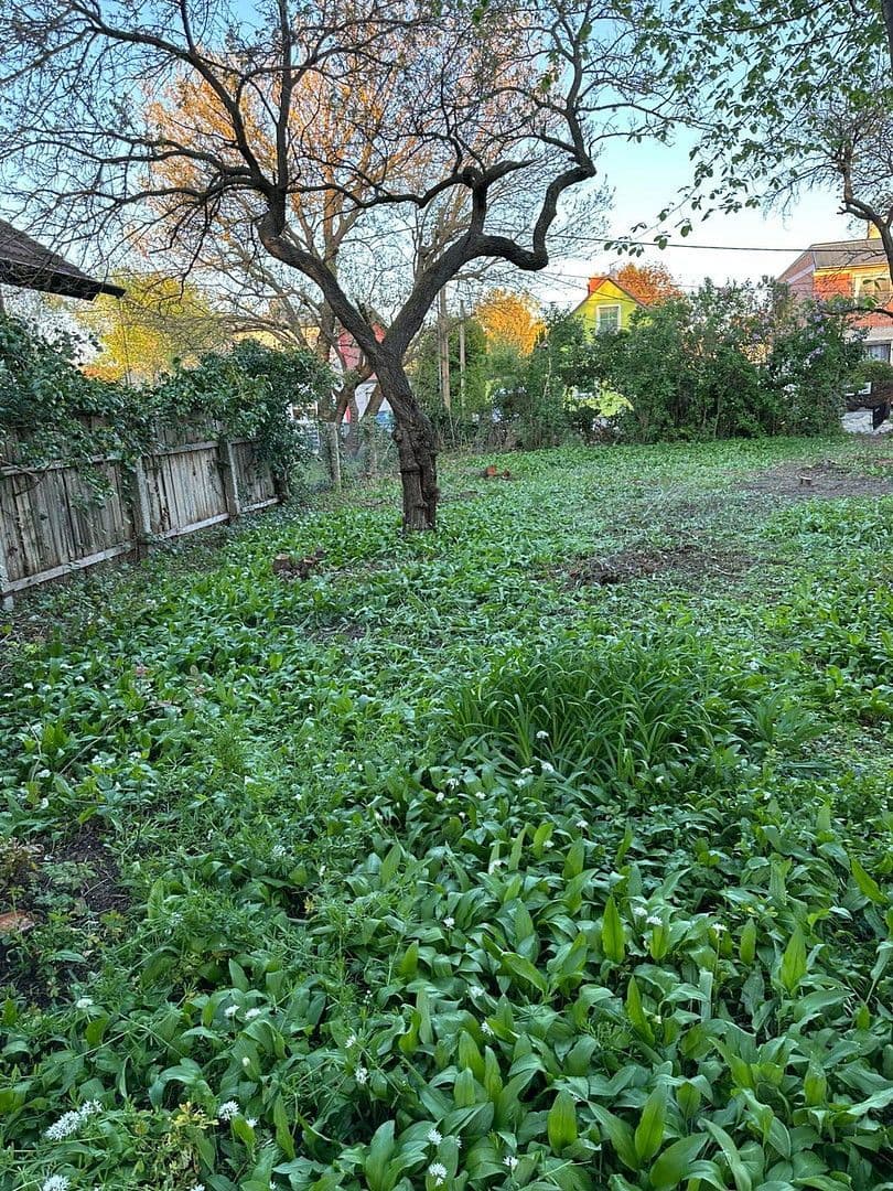 Prodej pozemku 493 m², Wien, Wien Prodej pozemku 493 m², Wien, Wien