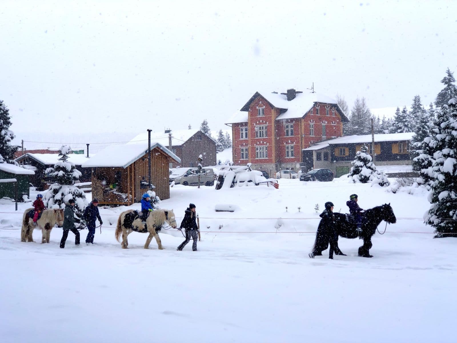 Prodej domu 1.148 m², pozemek 7.869 m², Nové Hamry, Karlovarský kraj Prodej domu 1.148 m², pozemek 7.869 m², Nové Hamry, Karlovarský kraj