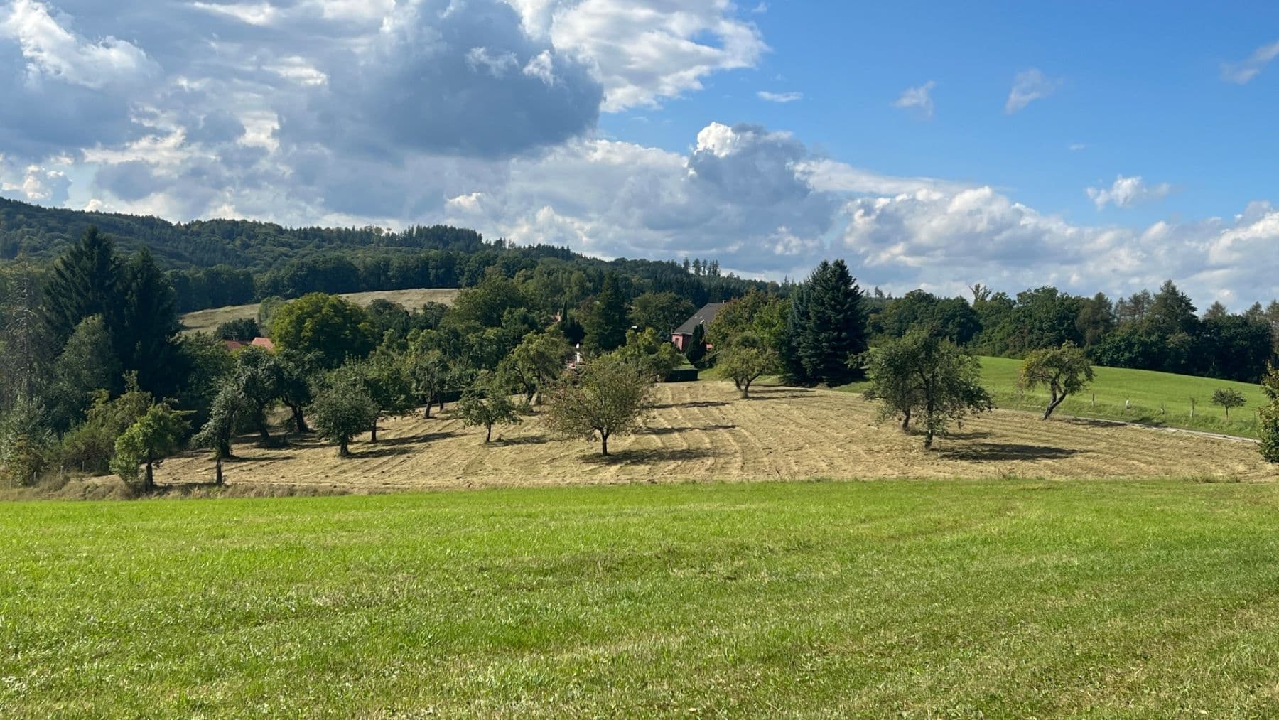 Prodej pozemku 5.276 m², Šárovcova Lhota, Královéhradecký kraj Prodej pozemku 5.276 m², Šárovcova Lhota, Královéhradecký kraj