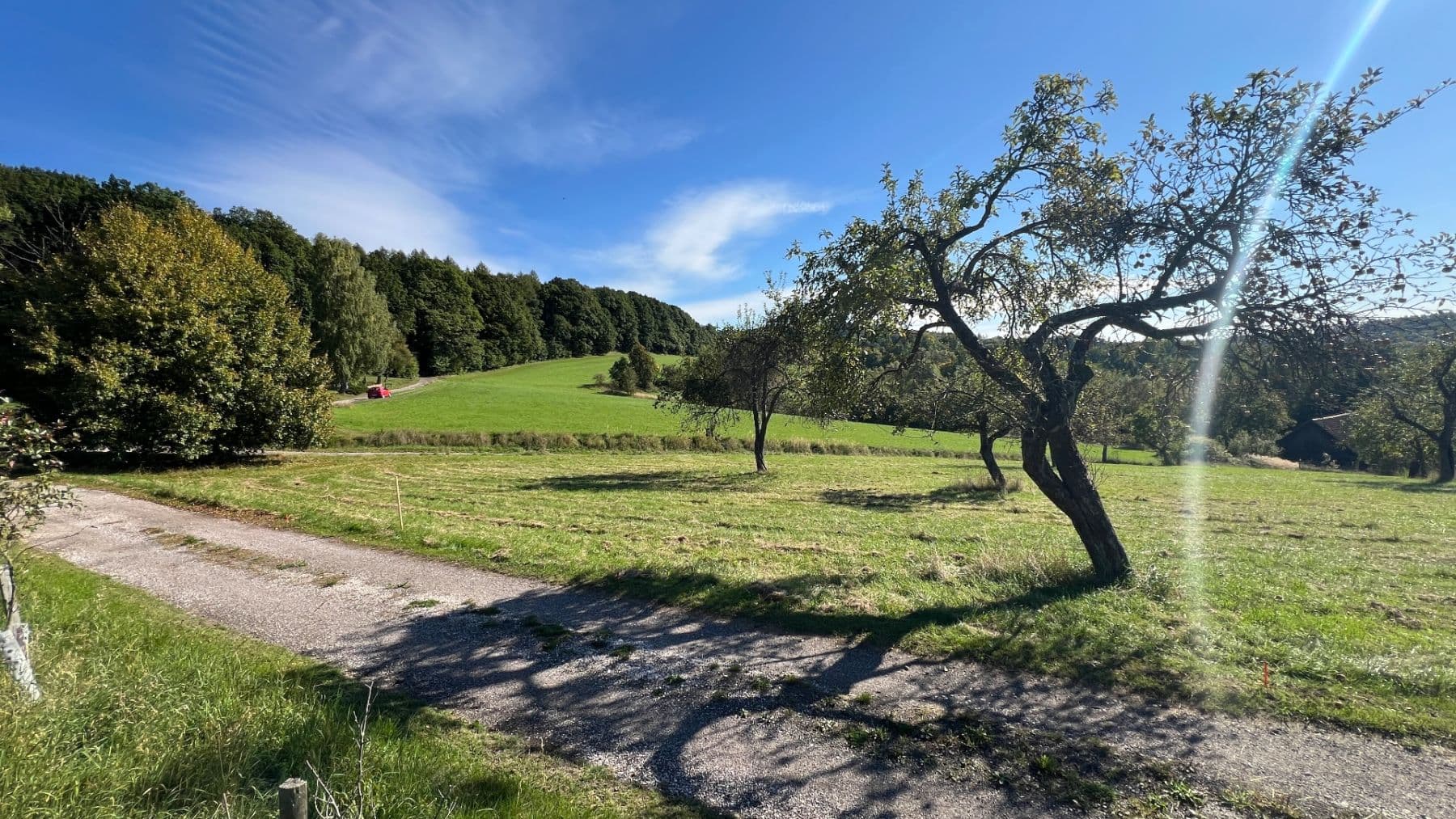 Prodej pozemku 5.276 m², Šárovcova Lhota, Královéhradecký kraj Prodej pozemku 5.276 m², Šárovcova Lhota, Královéhradecký kraj