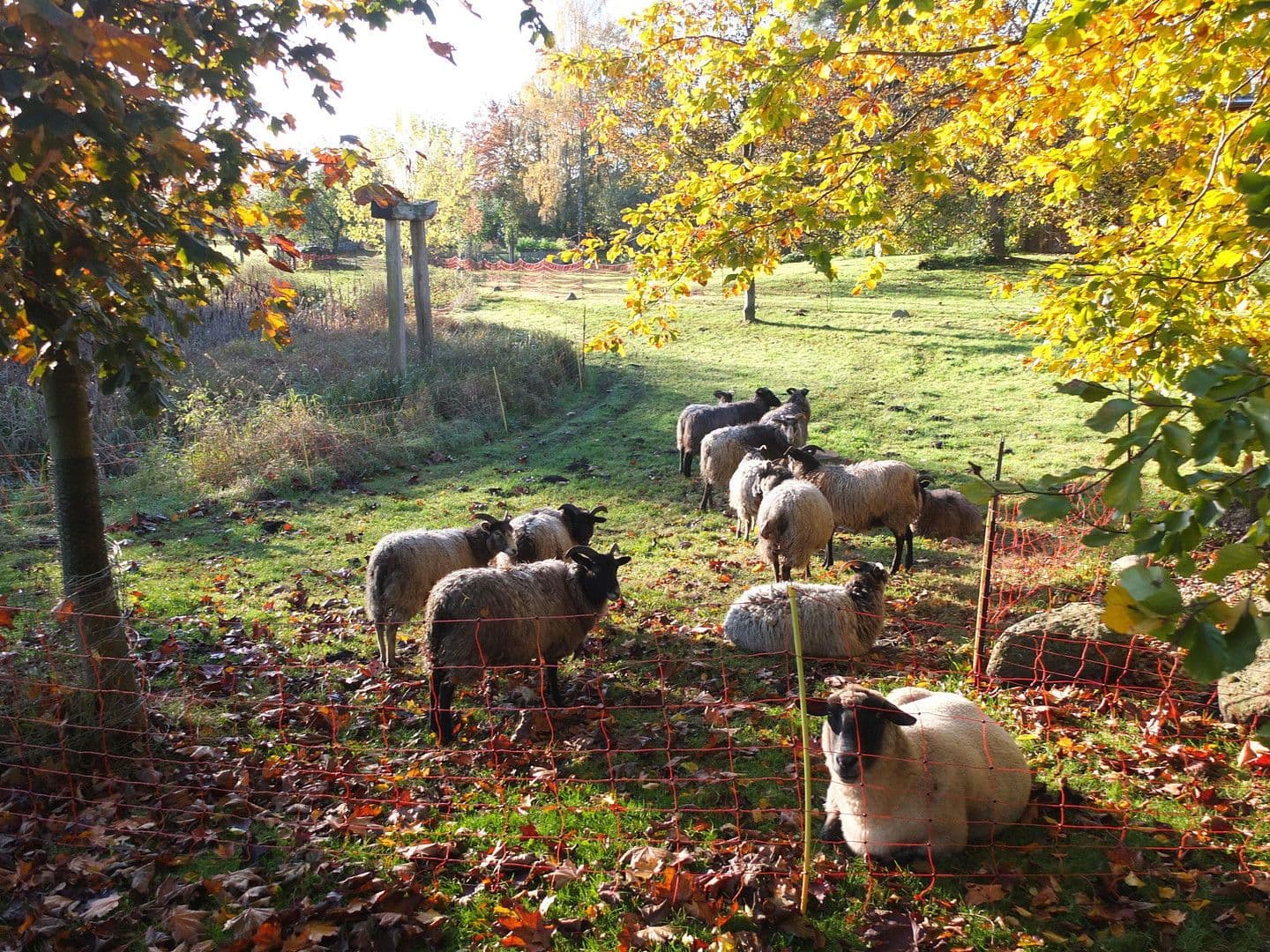 Prodej bytu 1.000 m², Sterley, Šlesvicko-Holštýnsko Prodej bytu 1.000 m², Sterley, Šlesvicko-Holštýnsko