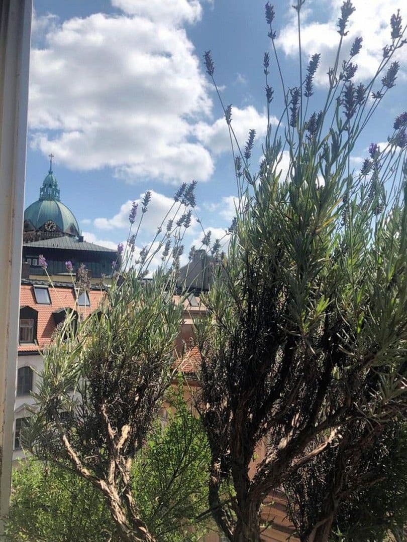 Pronájem bytu 2+1 70 m², München, Bavorsko Pronájem bytu 2+1 70 m², München, Bavorsko