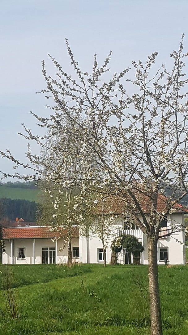 Prodej domu 310 m², pozemek 5.000 m², Hillesheim, Porýní-Falc Prodej domu 310 m², pozemek 5.000 m², Hillesheim, Porýní-Falc
