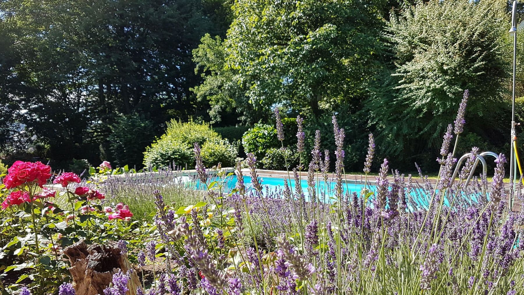 Prodej domu 214 m², pozemek 2.084 m², Heiligenkreuz am Waasen, Štýrsko Prodej domu 214 m², pozemek 2.084 m², Heiligenkreuz am Waasen, Štýrsko