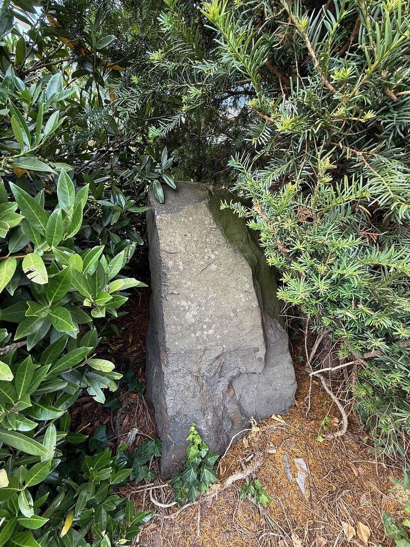 Prodej domu 478 m², pozemek 1.827 m², Neuhof, Hessen Prodej domu 478 m², pozemek 1.827 m², Neuhof, Hessen