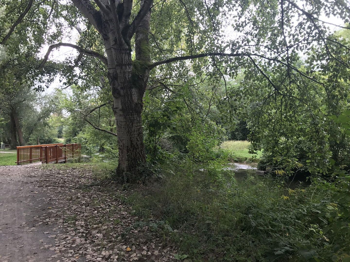 Prodej domu 157 m², pozemek 101 m², Karlsruhe, Bádensko-Württembersko Prodej domu 157 m², pozemek 101 m², Karlsruhe, Bádensko-Württembersko