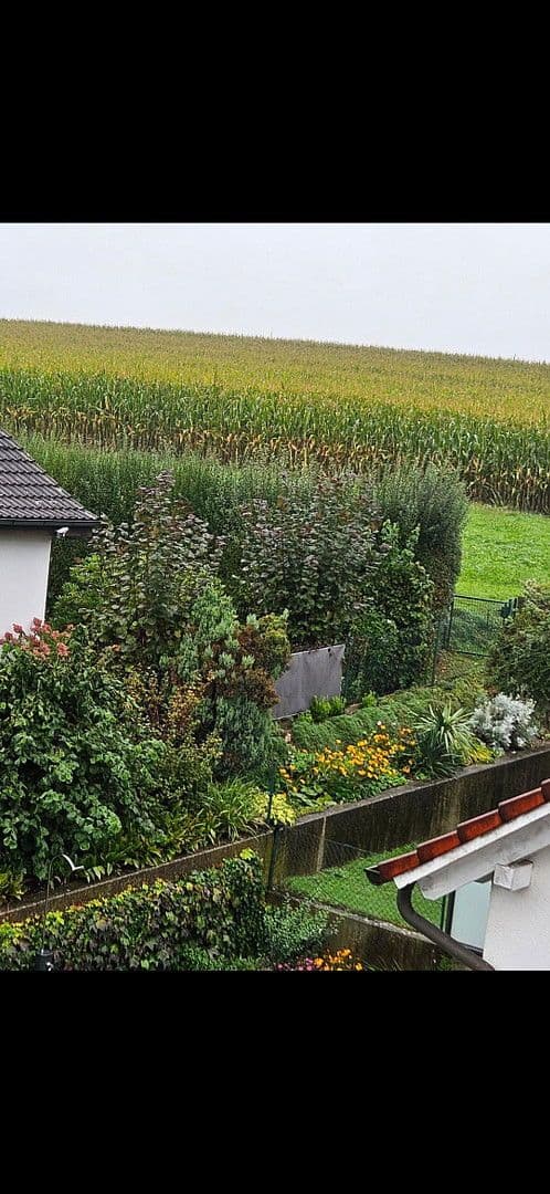 Prodej domu 132 m², pozemek 256 m², Dasing, Bavorsko Prodej domu 132 m², pozemek 256 m², Dasing, Bavorsko