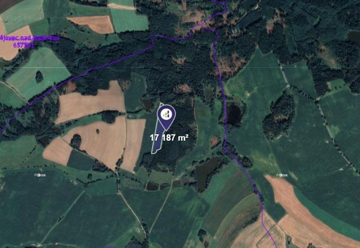 Prodej pozemku 17.187 m², Blažejov, Jihočeský kraj Prodej pozemku 17.187 m², Blažejov, Jihočeský kraj