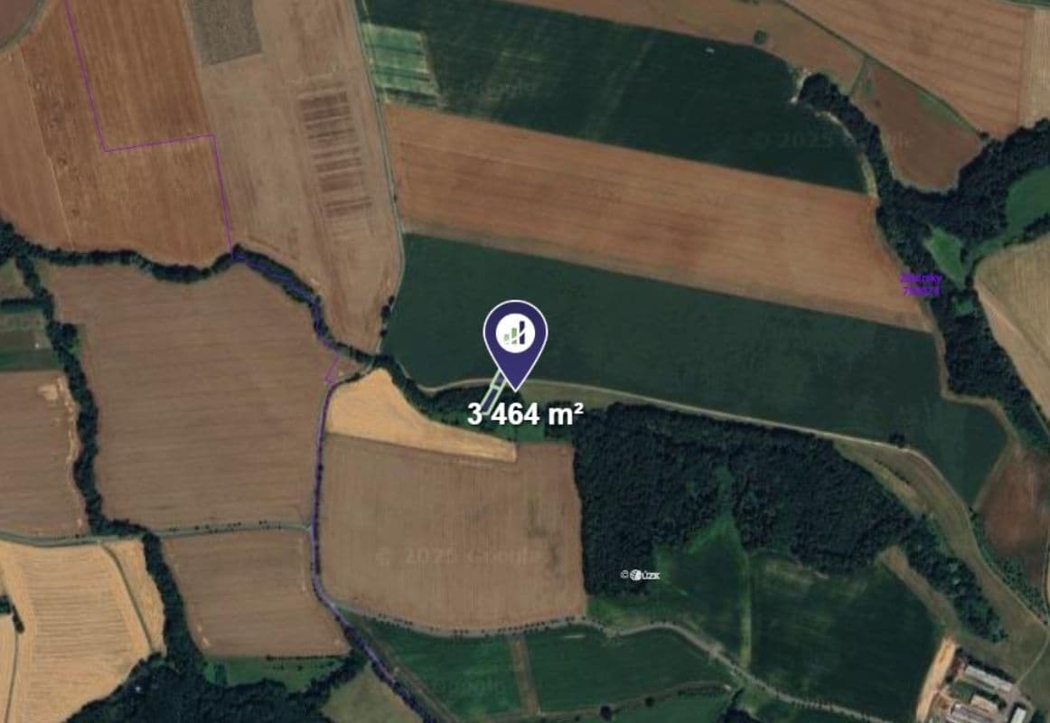 Prodej pozemku 3.464 m², Zámrsky, Olomoucký kraj Prodej pozemku 3.464 m², Zámrsky, Olomoucký kraj