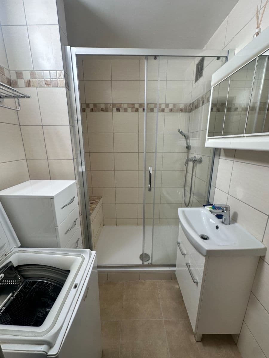 Pronájem bytu 4+1 103 m², Manětínská, Plzeň, Plzeňský kraj Pronájem bytu 4+1 103 m², Manětínská, Plzeň, Plzeňský kraj