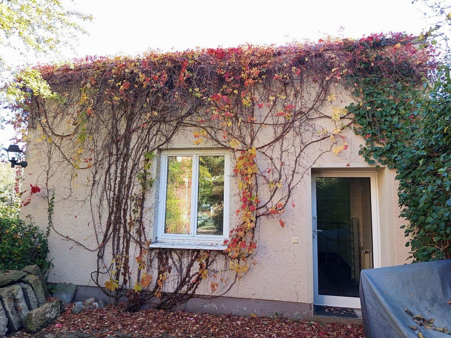 Pronájem kanceláře 55 m², Dresden, Sasko Pronájem kanceláře 55 m², Dresden, Sasko