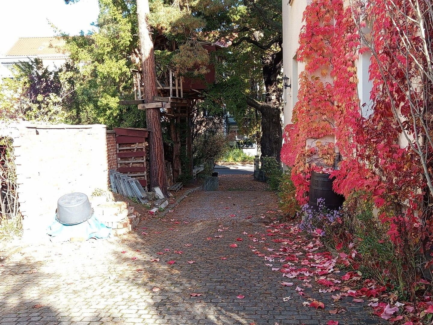 Pronájem kanceláře 55 m², Dresden, Sasko Pronájem kanceláře 55 m², Dresden, Sasko