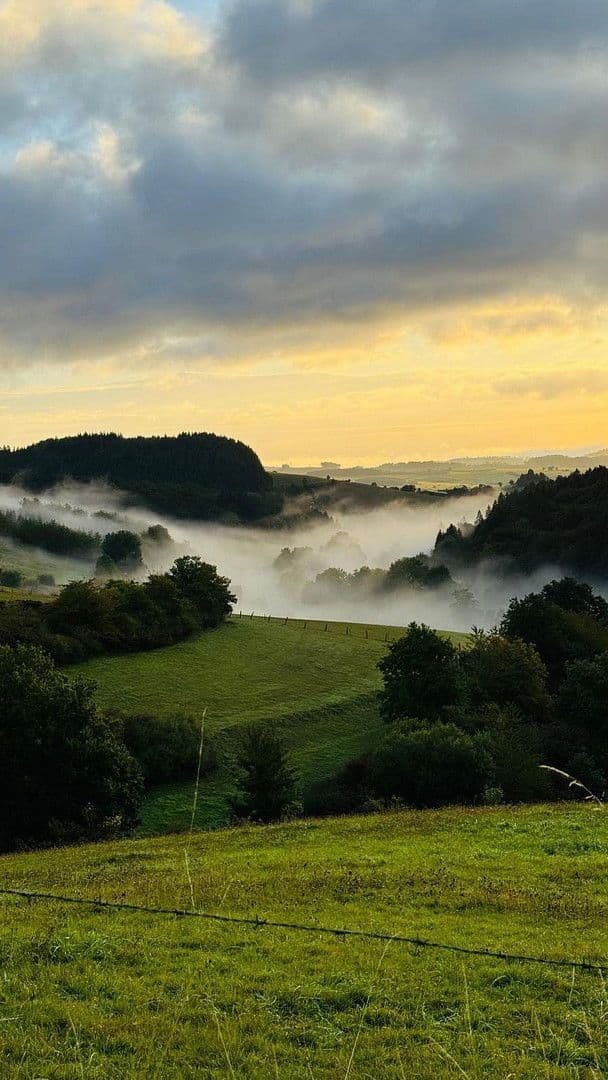 Prodej domu 400 m², pozemek 375 m², Medebach, Severní Porýní-Vestfálsko Prodej domu 400 m², pozemek 375 m², Medebach, Severní Porýní-Vestfálsko