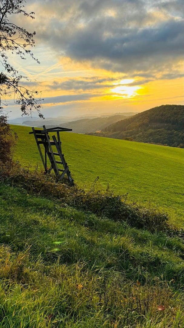 Prodej domu 400 m², pozemek 375 m², Medebach, Severní Porýní-Vestfálsko Prodej domu 400 m², pozemek 375 m², Medebach, Severní Porýní-Vestfálsko