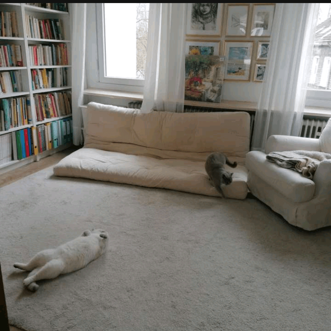 Pronájem bytu 3+1 72 m², Burgstraße 85, Solingen, Severní Porýní-Vestfálsko Pronájem bytu 3+1 72 m², Burgstraße 85, Solingen, Severní Porýní-Vestfálsko