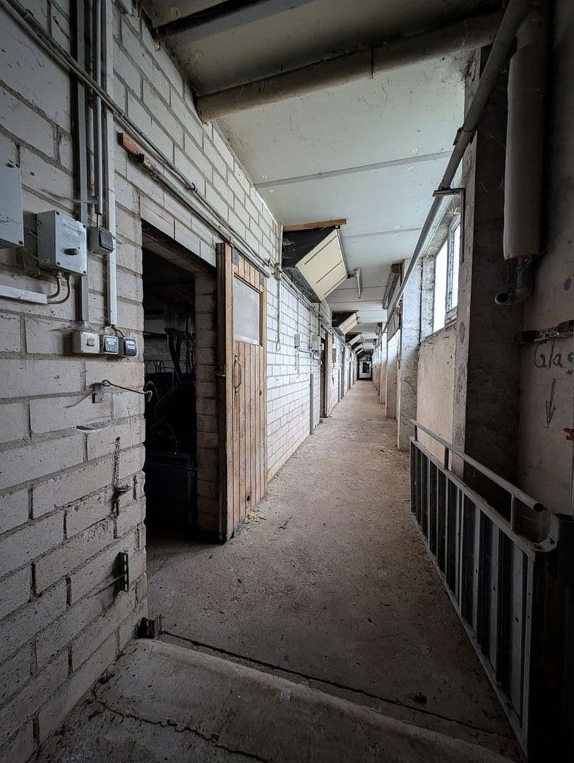 Pronájem pozemku 23.500 m², Klossaer Straße 48, Jessen (Elster), Sasko-Anhaltsko Pronájem pozemku 23.500 m², Klossaer Straße 48, Jessen (Elster), Sasko-Anhaltsko