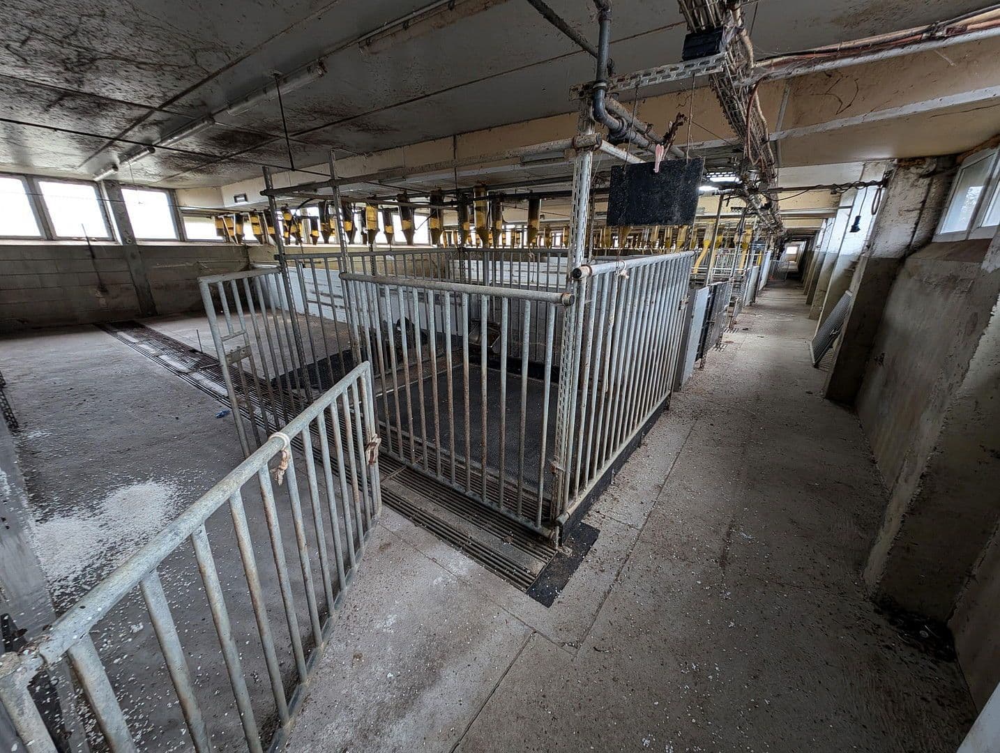 Pronájem pozemku 23.500 m², Klossaer Straße 48, Jessen (Elster), Sasko-Anhaltsko Pronájem pozemku 23.500 m², Klossaer Straße 48, Jessen (Elster), Sasko-Anhaltsko