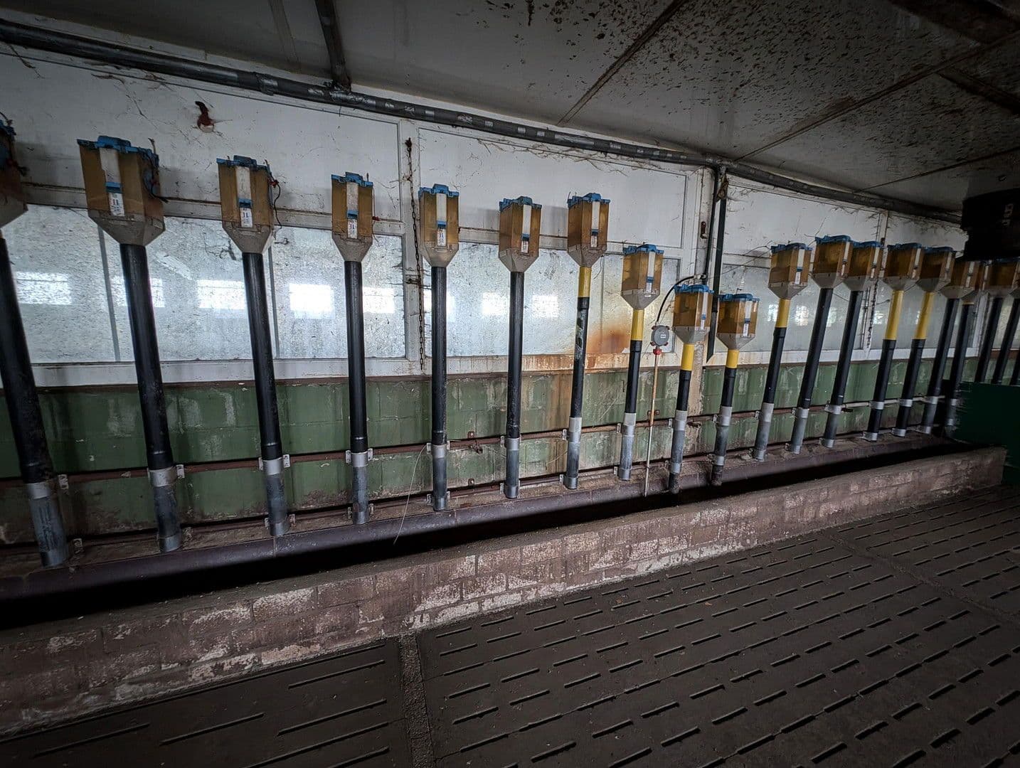 Pronájem pozemku 23.500 m², Klossaer Straße 48, Jessen (Elster), Sasko-Anhaltsko Pronájem pozemku 23.500 m², Klossaer Straße 48, Jessen (Elster), Sasko-Anhaltsko