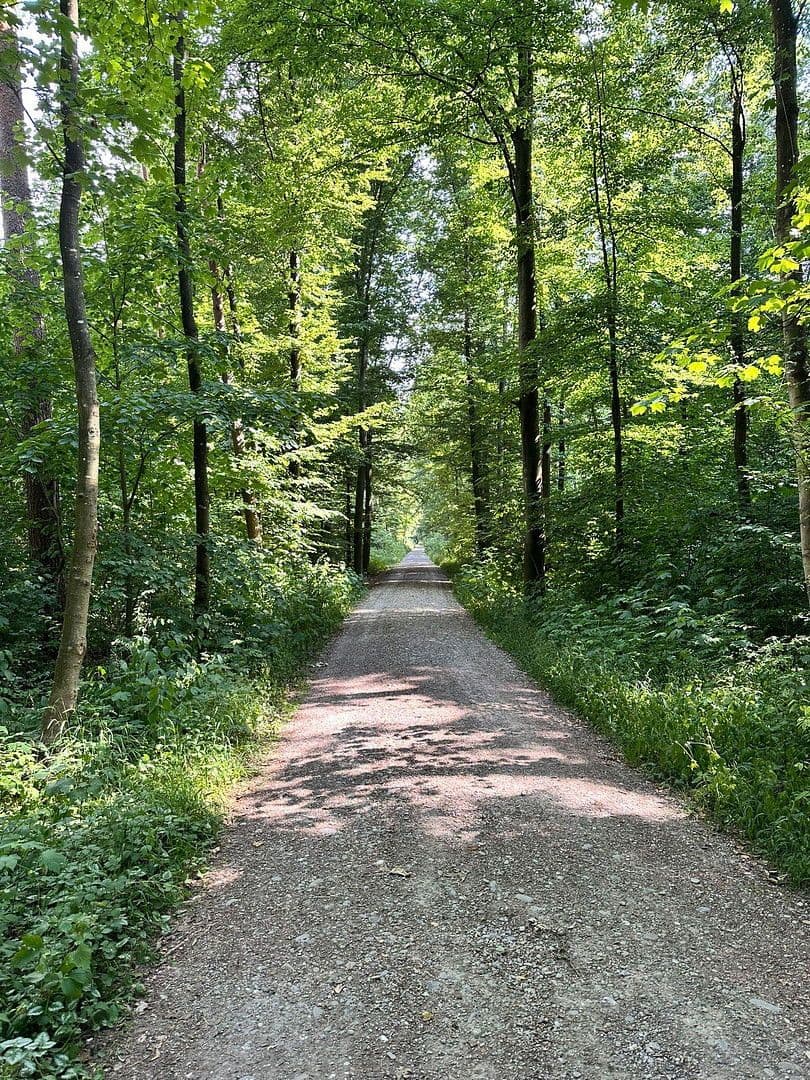 Prodej domu 139 m², pozemek 401 m², Augsburg, Bavorsko Prodej domu 139 m², pozemek 401 m², Augsburg, Bavorsko