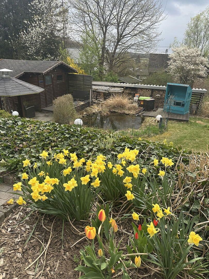 Pronájem domu 130 m², pozemek 650 m², Große Wiese 5, Steinebach an der Wied, Porýní-Falc Pronájem domu 130 m², pozemek 650 m², Große Wiese 5, Steinebach an der Wied, Porýní-Falc