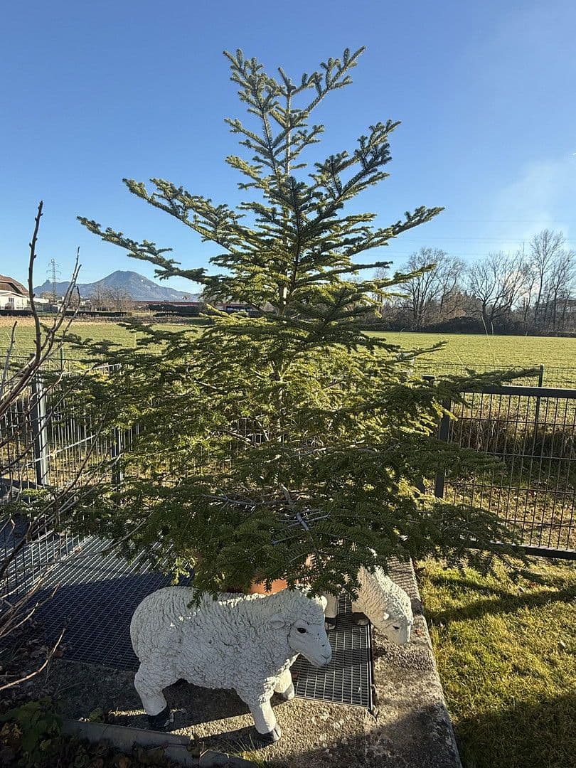 Pronájem bytu 2+1 52 m², Salzburg/Liefering, Salcbursko Pronájem bytu 2+1 52 m², Salzburg/Liefering, Salcbursko