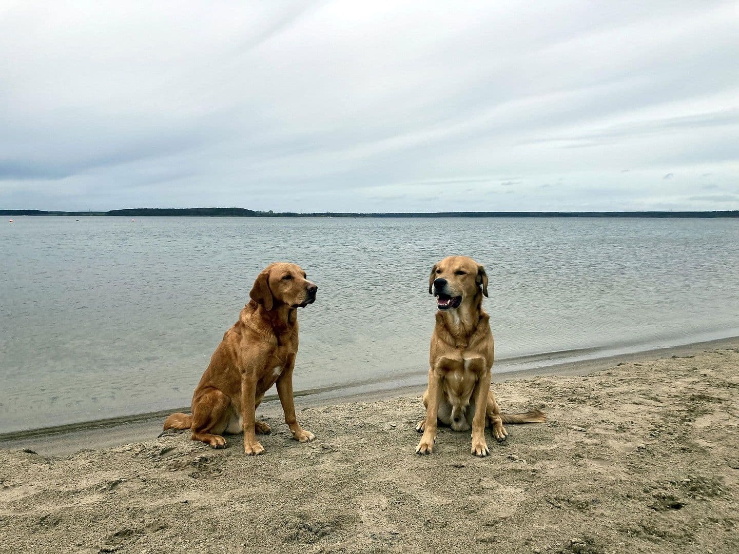 Prodej domu 104 m², pozemek 376 m², Strandweg 8, Göhren-Lebbin, Mecklenburg-Vorpommern Prodej domu 104 m², pozemek 376 m², Strandweg 8, Göhren-Lebbin, Mecklenburg-Vorpommern