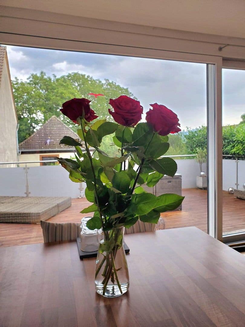 Prodej domu 146 m², pozemek 188 m², Schallstadt, Bádensko-Württembersko Prodej domu 146 m², pozemek 188 m², Schallstadt, Bádensko-Württembersko