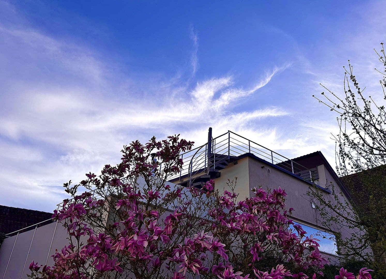 Prodej domu 146 m², pozemek 188 m², Schallstadt, Bádensko-Württembersko Prodej domu 146 m², pozemek 188 m², Schallstadt, Bádensko-Württembersko