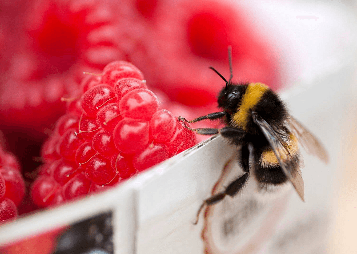 Pronájem bytu 3+1 83 m², Tostedt, Dolní Sasko Pronájem bytu 3+1 83 m², Tostedt, Dolní Sasko