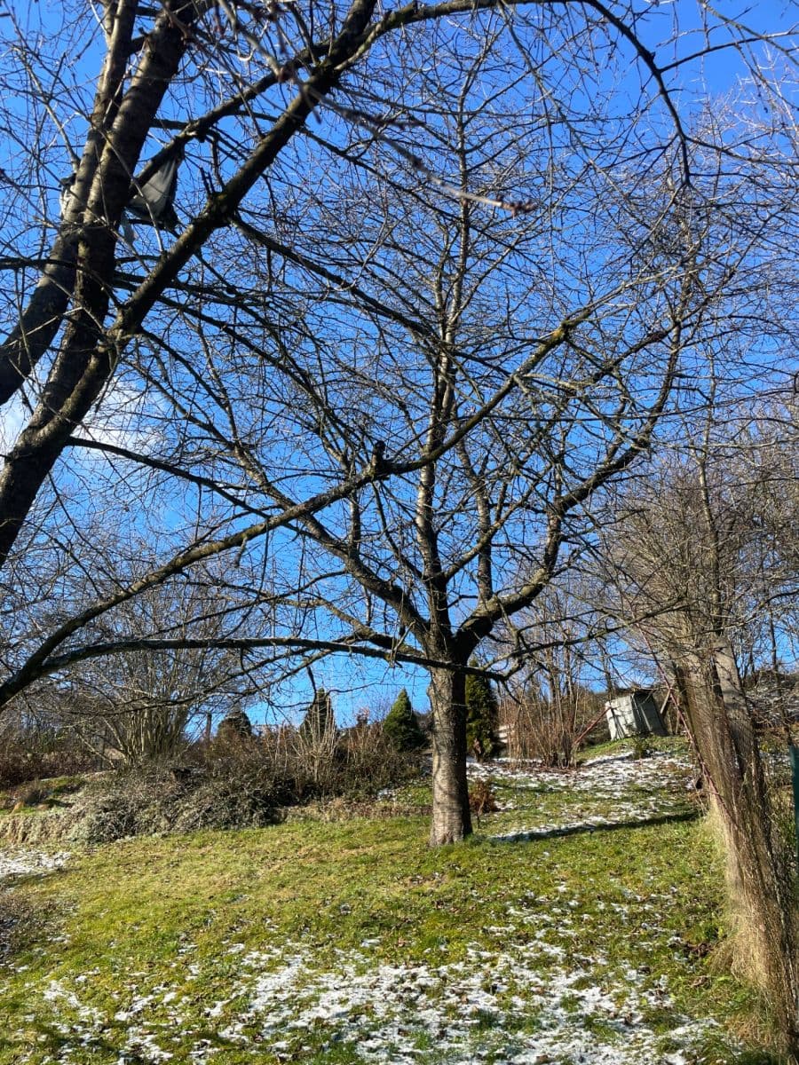 Prodej domu 274 m², pozemek 1.223 m², Paseky, Želechovice nad Dřevnicí, Zlínský kraj Prodej domu 274 m², pozemek 1.223 m², Paseky, Želechovice nad Dřevnicí, Zlínský kraj