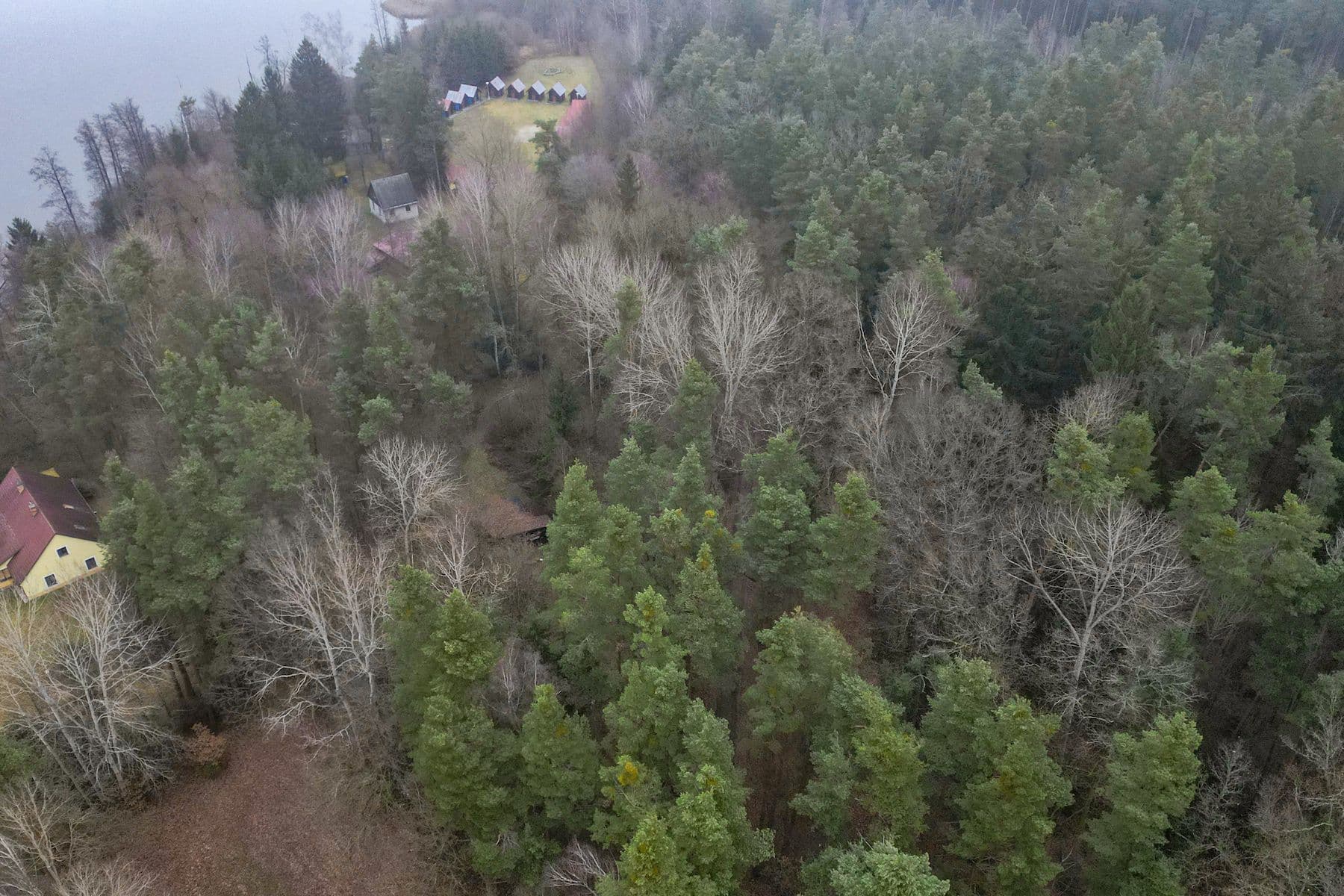 Prodej pozemku 2.304 m², Olešnice, Jihočeský kraj Prodej pozemku 2.304 m², Olešnice, Jihočeský kraj