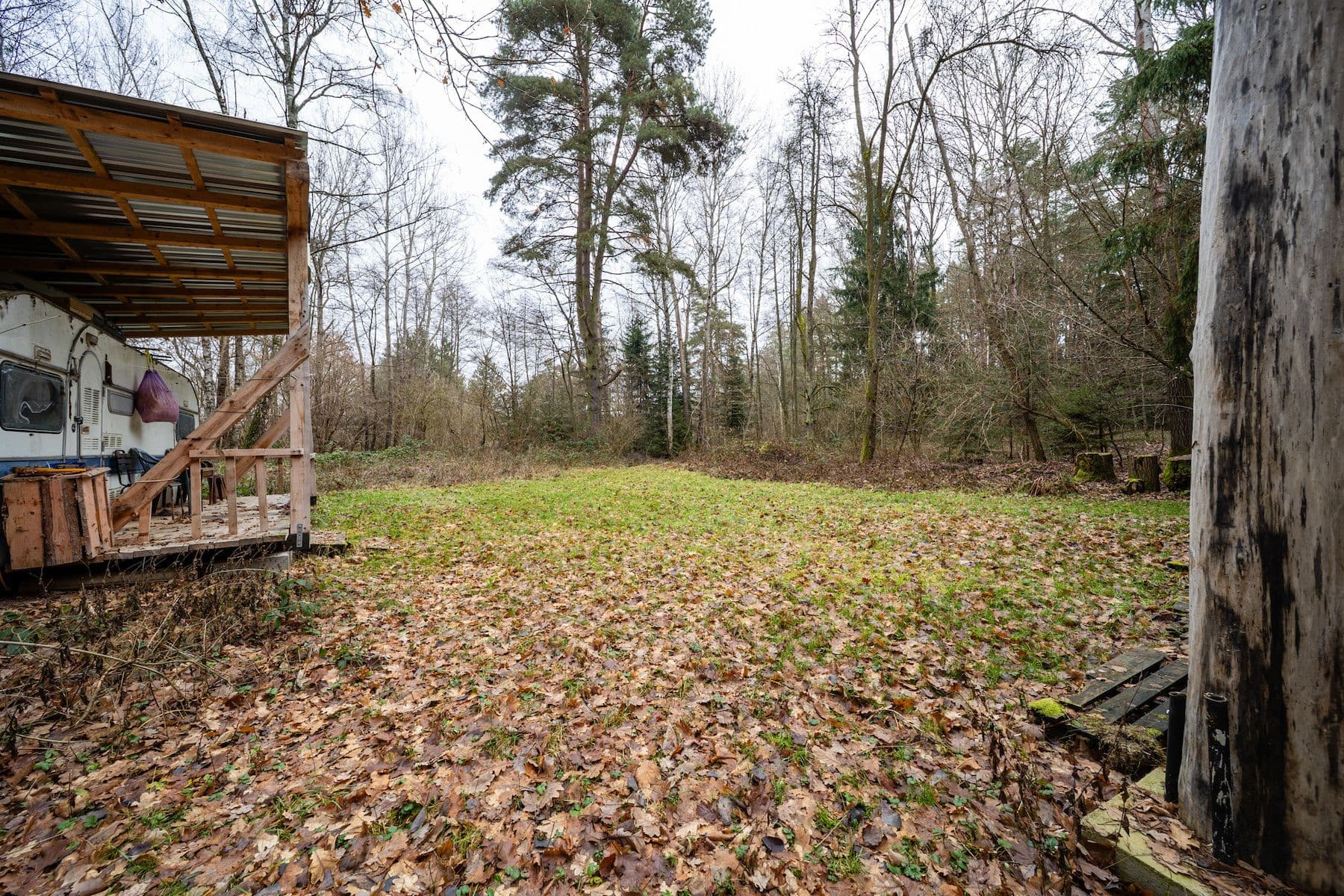 Prodej pozemku 2.304 m², Olešnice, Jihočeský kraj Prodej pozemku 2.304 m², Olešnice, Jihočeský kraj