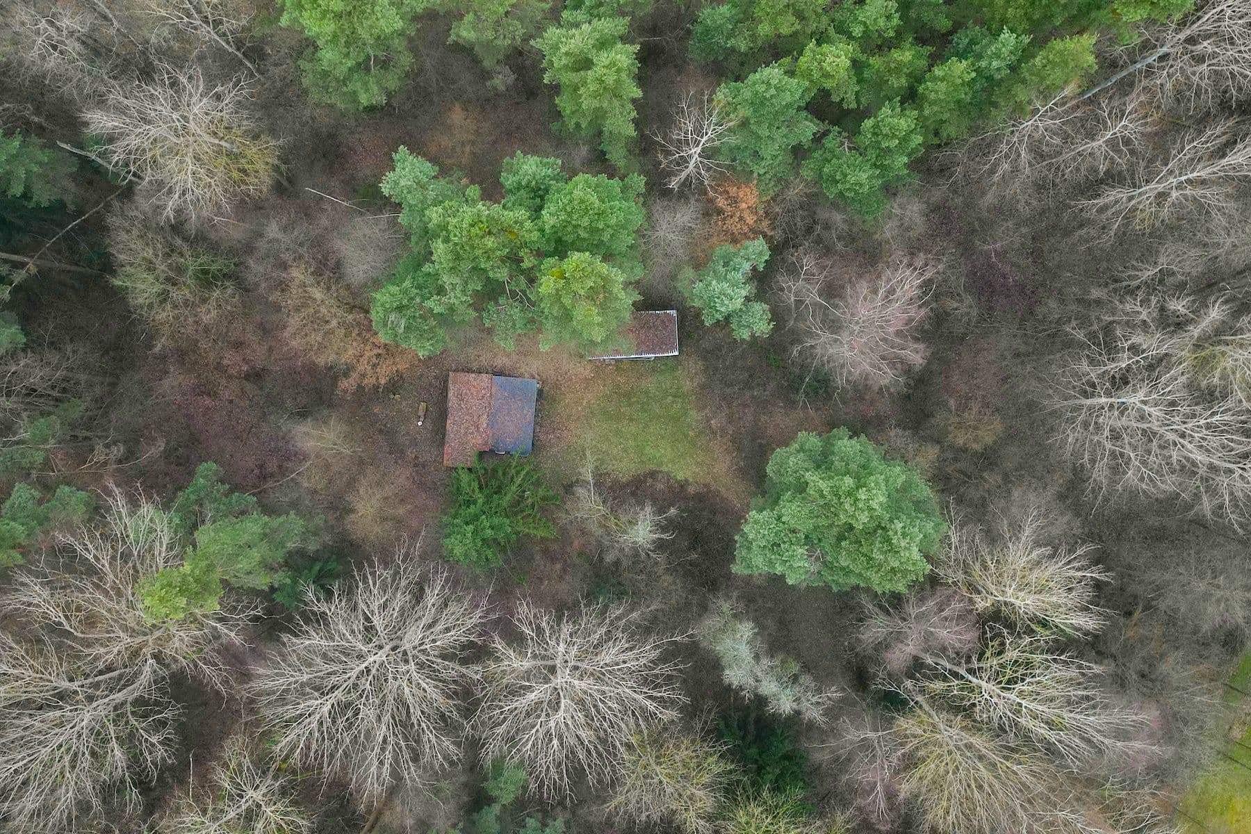 Prodej pozemku 2.304 m², Olešnice, Jihočeský kraj Prodej pozemku 2.304 m², Olešnice, Jihočeský kraj