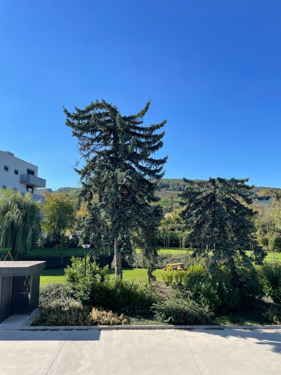 Pronájem bytu 2+1 55 m², Nové Mesto, Bratislavský kraj Pronájem bytu 2+1 55 m², Nové Mesto, Bratislavský kraj